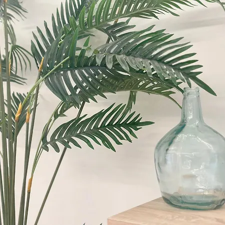 Con Vistas A La Playa Del Pedregal *