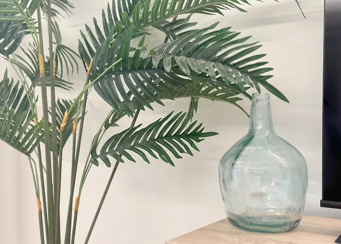 Con Vistas A La Playa Del Pedregal *